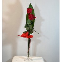 Dos rosas naturales envueltas en aspidistra