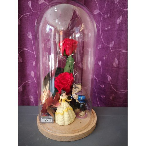 Cúpula con luz led de 2 Rosas