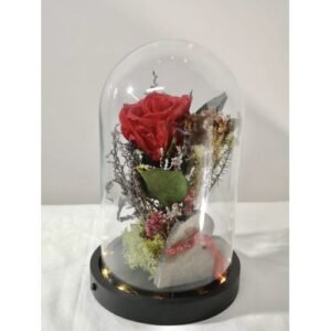 Cúpula con luz led de 1 Rosa