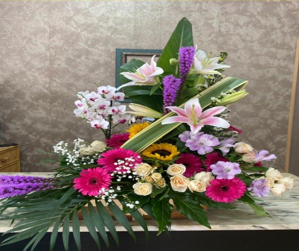 CENTRO DE ORQUÍDEA NATURAL