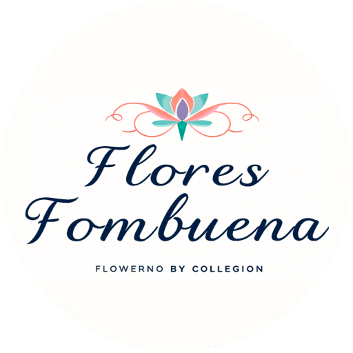 Producto prueba demostracion